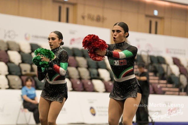MEX2D10122113270