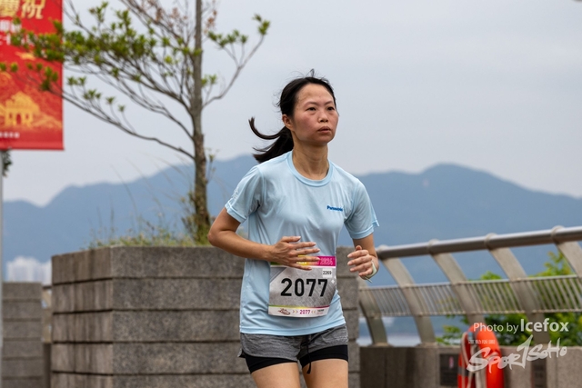 241103_711_Run-282
