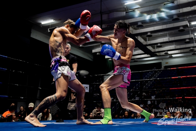 2024-10-31 Muaythai Championship 2024-0335