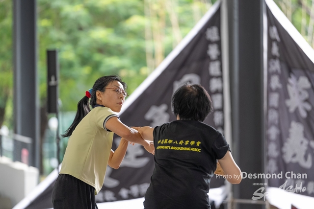 20241103 Kung Fu A1 DA103161-2