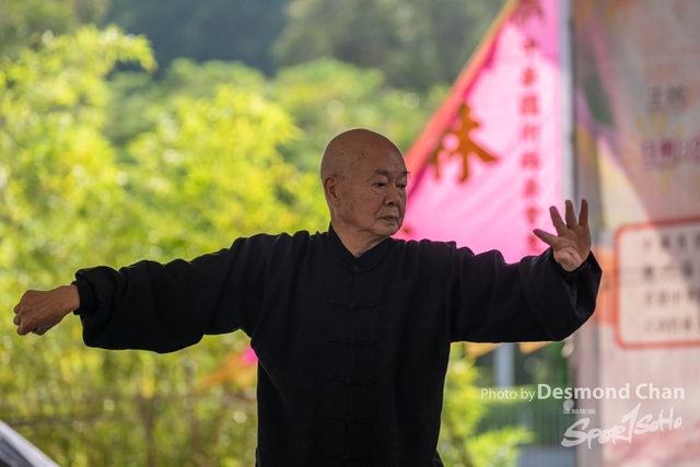20241103 Kung Fu A1 DA103331-2