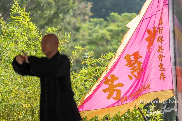 20241103 Kung Fu A1 DA103382-2