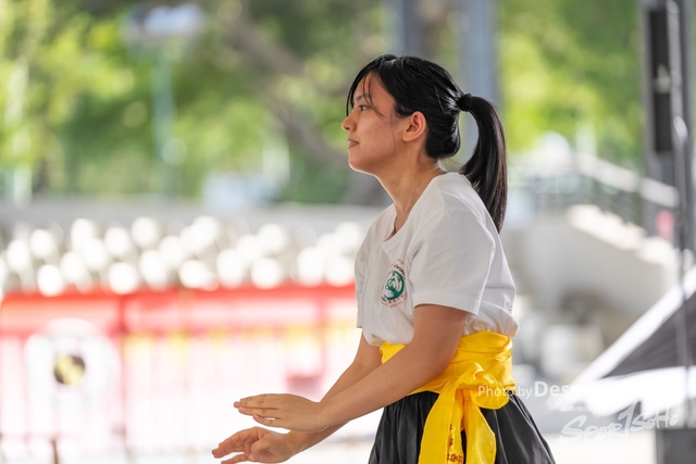 20241103 Kung Fu A1 DA103567-2