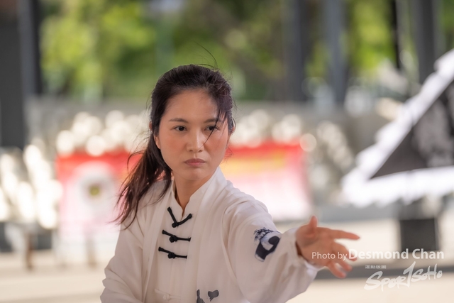20241103 Kung Fu A1 DA103654-2