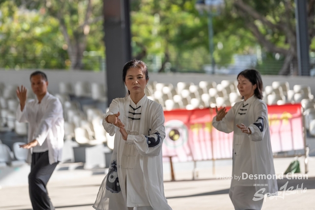 20241103 Kung Fu A1 DA103676-2