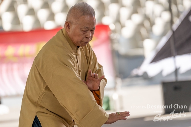 20241103 Kung Fu A1 DA103767-2