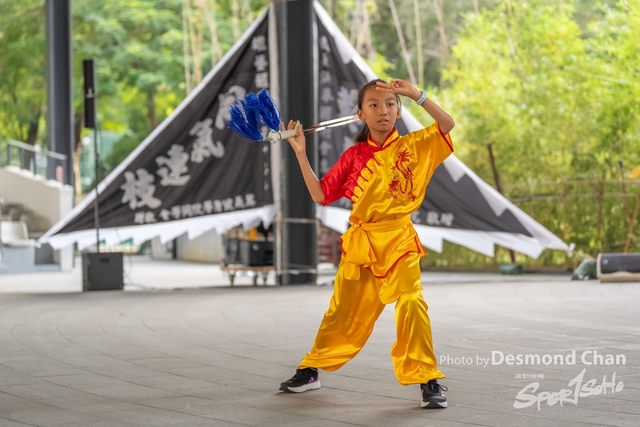 20241103 Kung Fu A1 DA104423-2