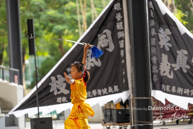 20241103 Kung Fu A1 DA104445-2