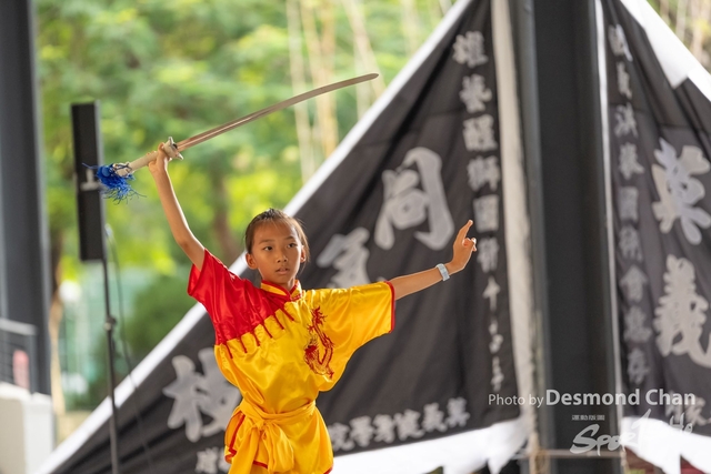 20241103 Kung Fu A1 DA104451-2