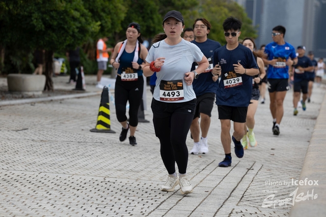 241110_RnP_2-100
