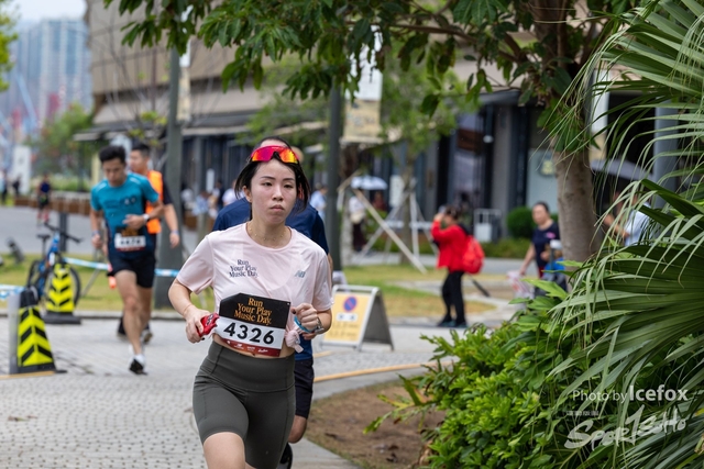 241110_RnP_2-302