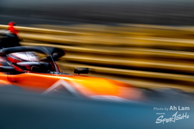 Z8A_6145