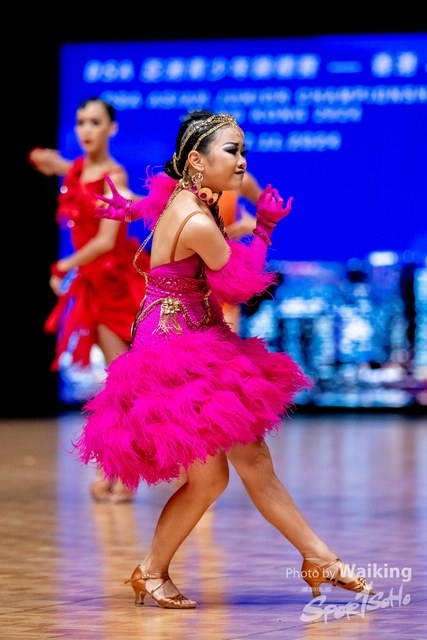2024-11-13 DSA-0412