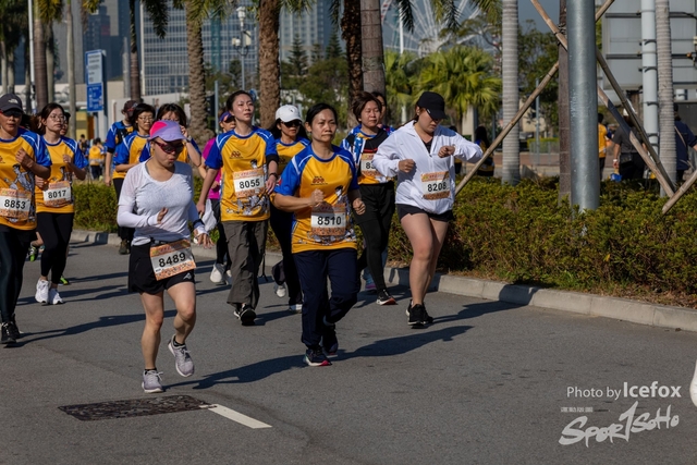 250119_MQ_3K-291