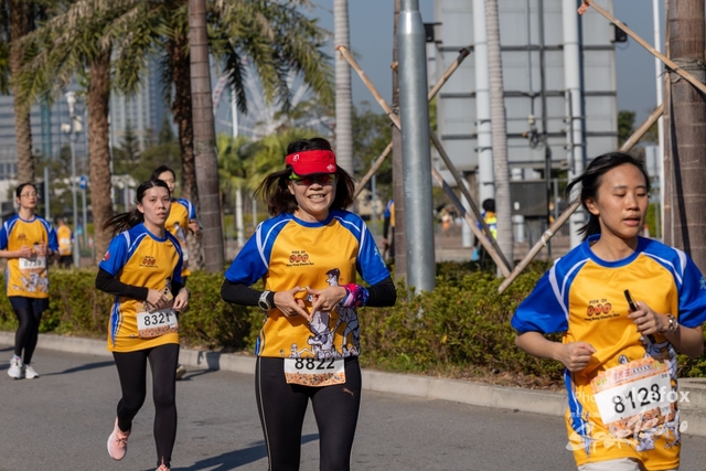 250119_MQ_3K-305