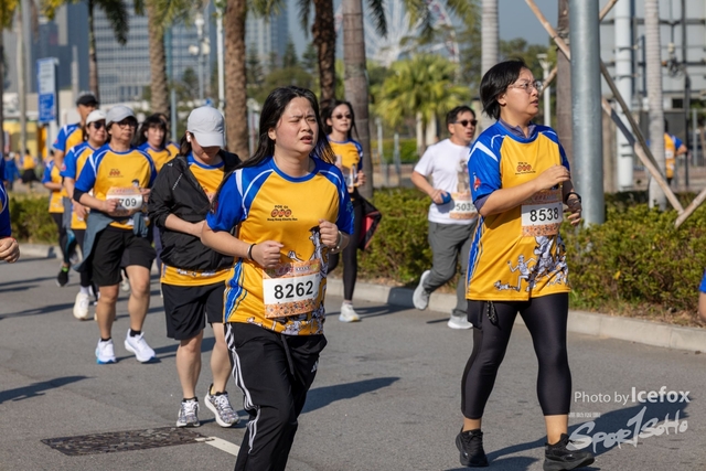 250119_MQ_3K-334