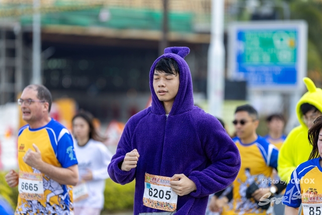 250119_MQ_3K-355
