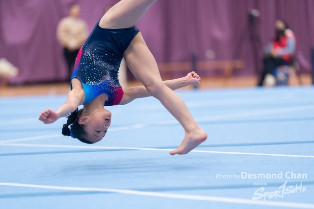 20241208 Gym A1 1 DA102527-2