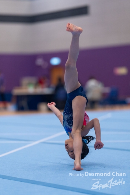 20241208 Gym A1 1 DA104337-2