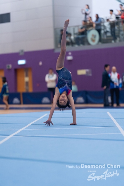 20241208 Gym A1 1 DA104809-2