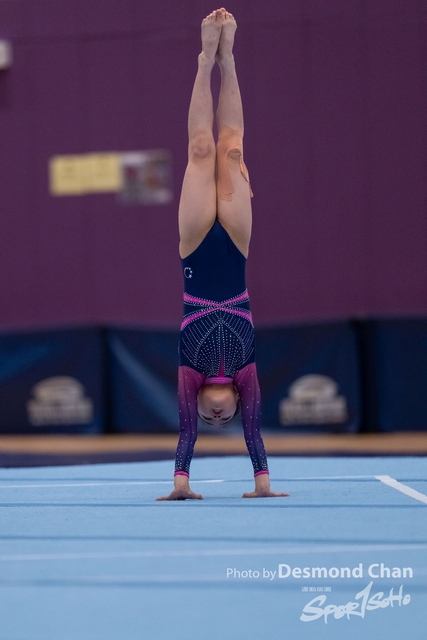 20241208 Gym A1 2 DA105330-2