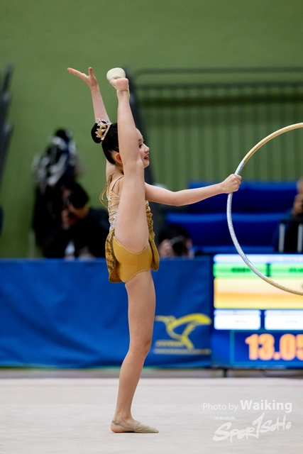 2025-01-18 RG-0991