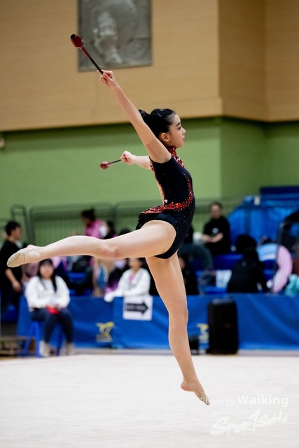 2025-01-18 RG-2333