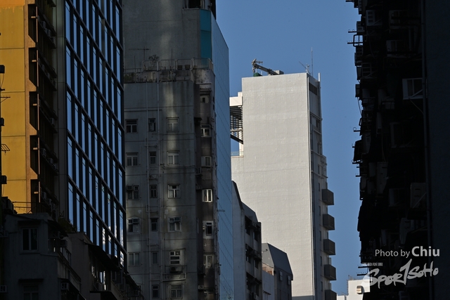 DSC_2221