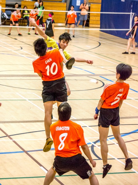 sportsoho運動版圖