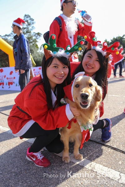 sportsoho運動版圖