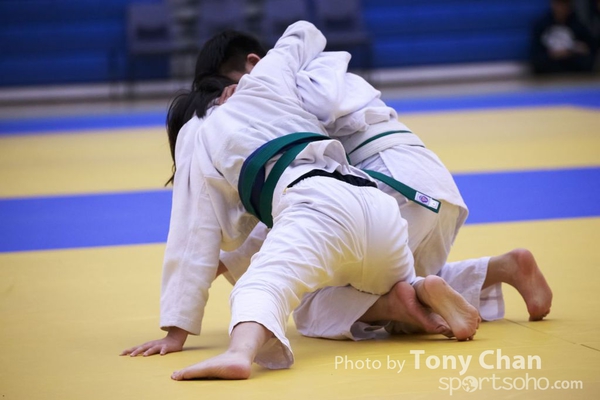 Judo134