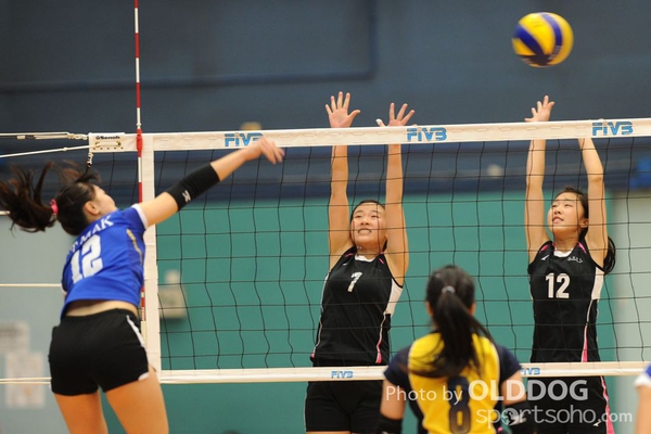 VolleyBall (2)