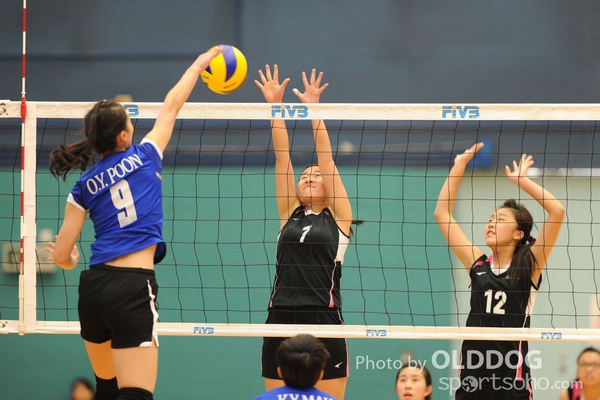 VolleyBall (5)