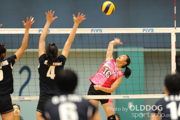 VolleyBall (22)