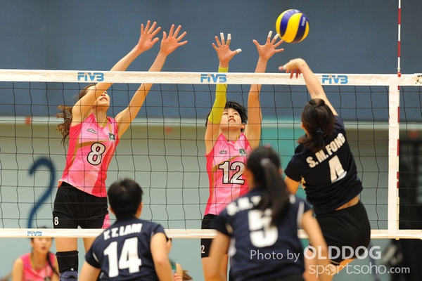 VolleyBall (25)