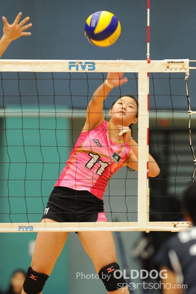 VolleyBall (26)
