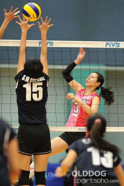 VolleyBall (28)