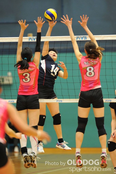 VolleyBall (44)