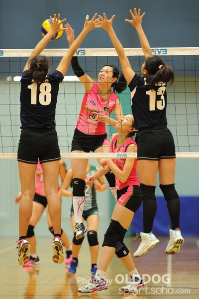 VolleyBall (55)