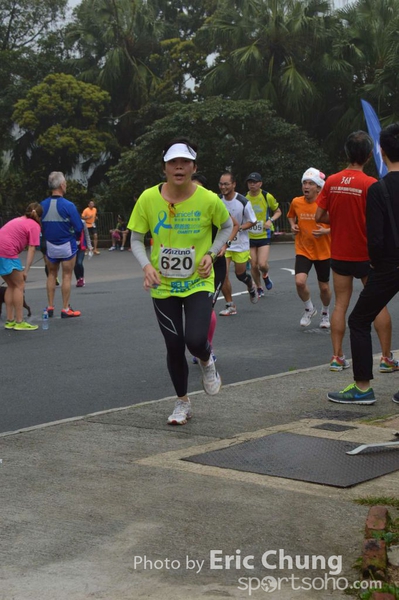 Fat Choi Run_300_