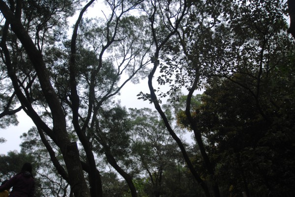 DSC_1872
