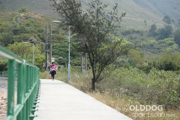 Lantau (493)