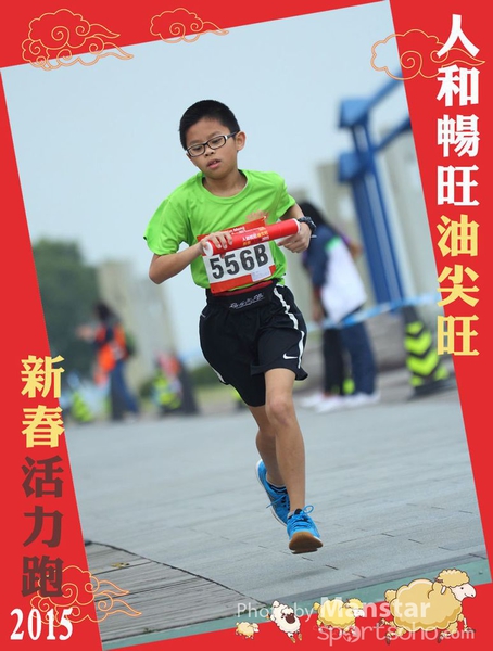 YTM_15_394F