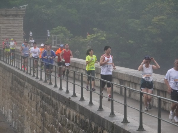 大潭上水塘水霸 (80)