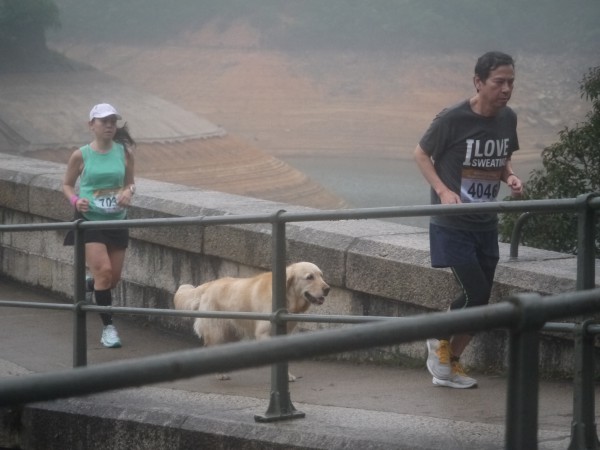 大潭上水塘水霸 (86)