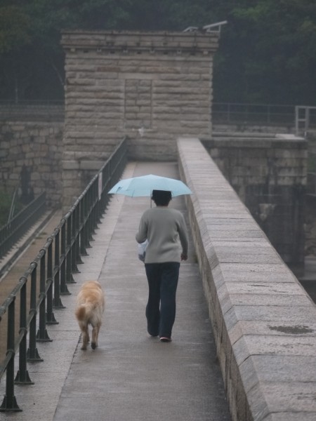 大潭上水塘水霸 (93)