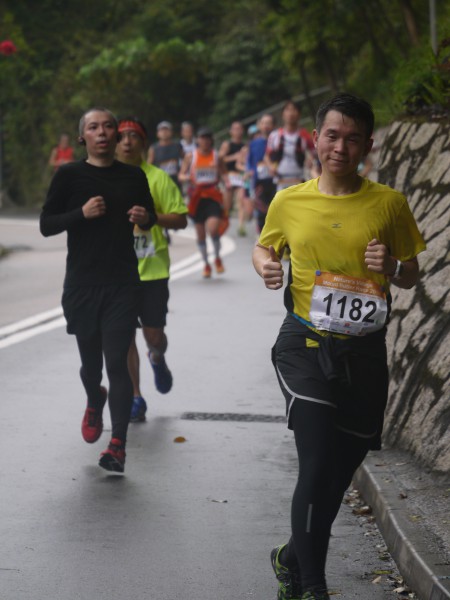 畢拉山道(黃泥涌樹木研習徑入口)[0903-0920am] (124)