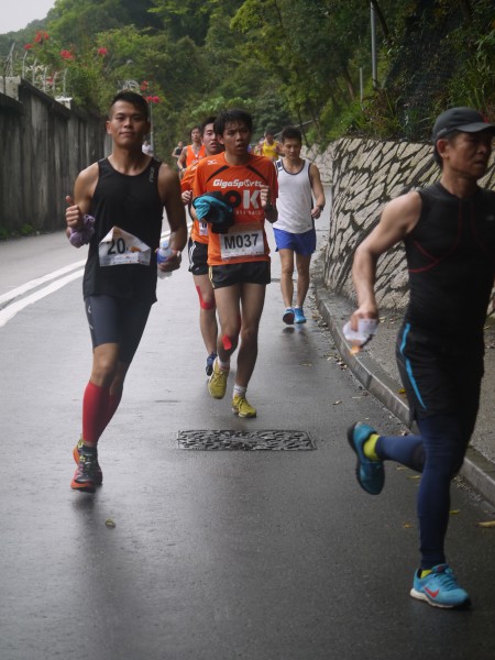 畢拉山道(黃泥涌樹木研習徑入口)[0903-0920am] (134)