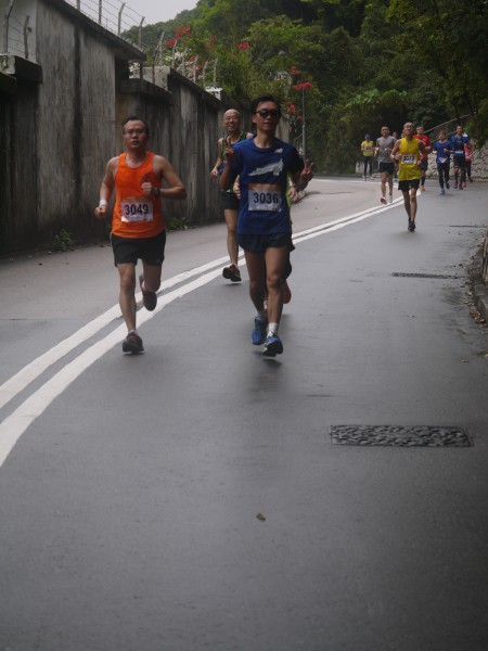 畢拉山道(黃泥涌樹木研習徑入口)[0903-0920am] (178)