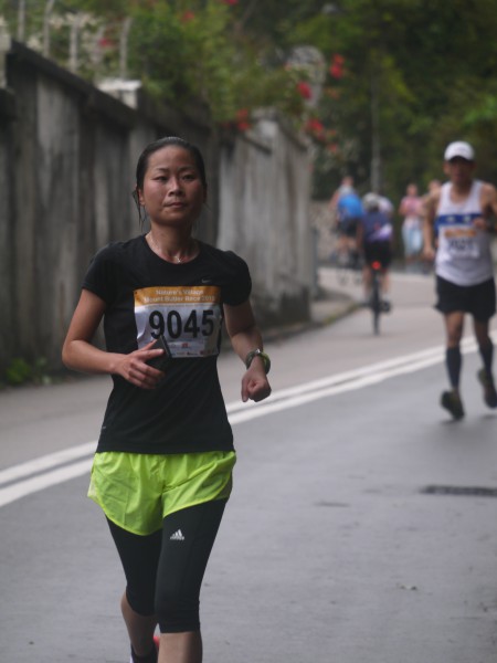 畢拉山道(黃泥涌樹木研習徑入口)[0903-0920am] (196)